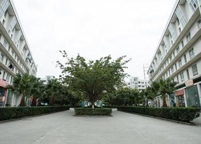 学校风景