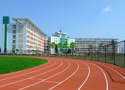 实际动手能力强