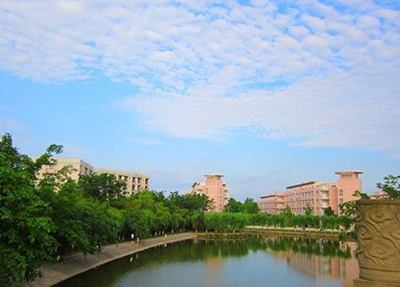 训练中教官是同