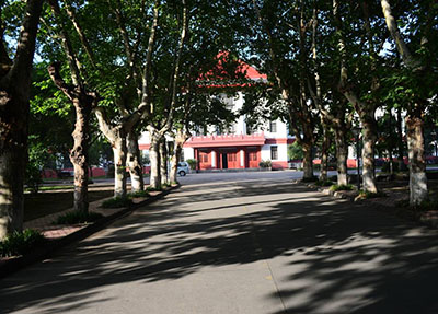学校风景