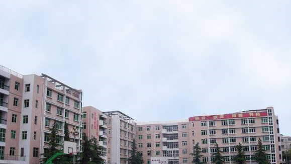 四川省实用中等专业学校简介|概况