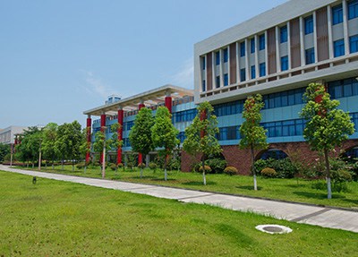 彭山职业高级中学校草坪一角