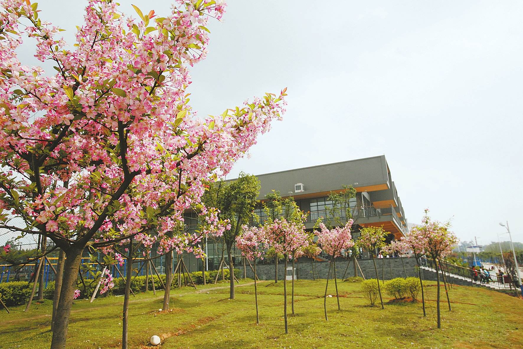 四川孝泉师范学校2020年奖助学政策