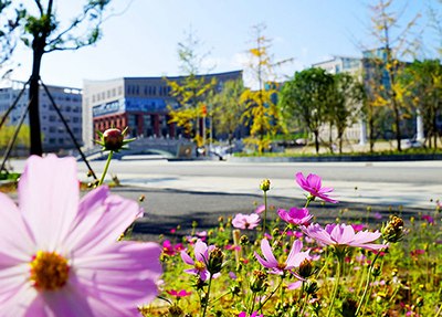 四川省商业服务学校校园风景