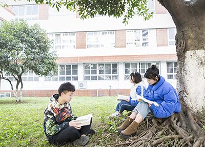 四川工业贸易学校学生们认真阅读