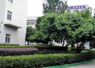 宁南职业技术学校校园景色