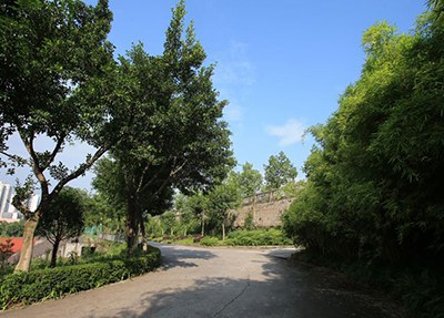 乐山市西成职业学校翠林小道