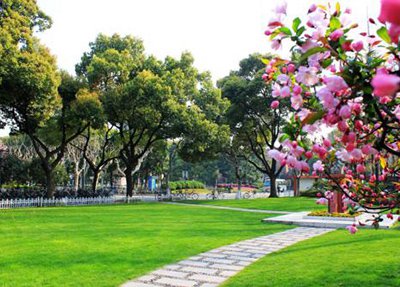 西昌航天学校绿植校园