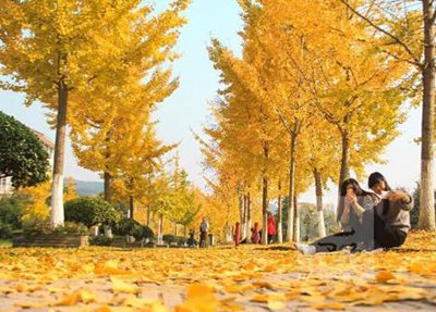 万源市黄钟职业中学秋风落叶