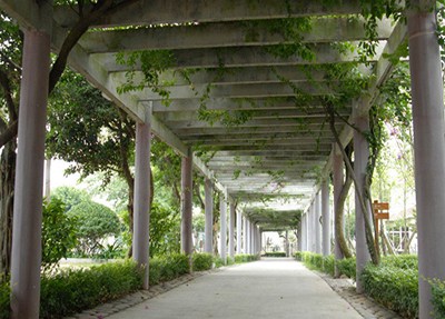 峨眉山航空学校学校长廊