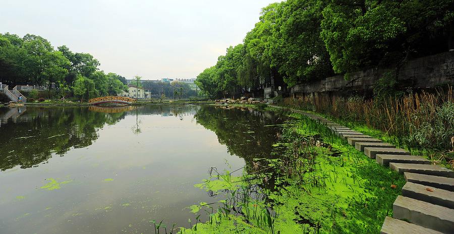 四川省通江县职业高级中学2020年助学政策
