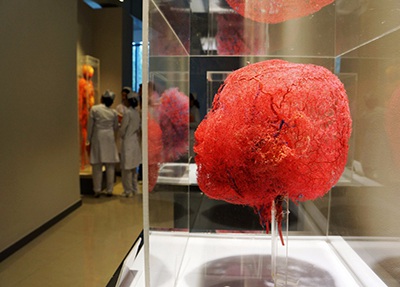 成都华大医药卫生学校学校展览室
