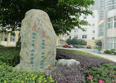 成都易森文化艺术学校校区一角