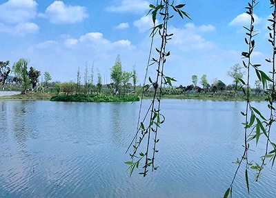 成都水电学校景区一般的校园