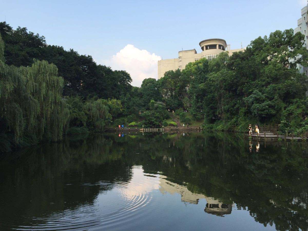 2020年广元市旺苍县技工学校招生专业计划