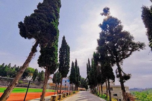 南昌大学科学技术学院2022招生简章