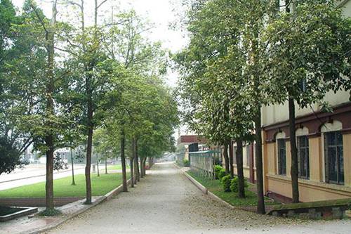 富顺县复原灏职业中学2022年招生计划