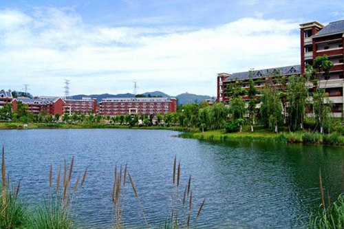 古蔺县大村职业中学校2022年招生录取分数线