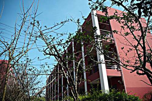古蔺县职业高级中学2022年招生简章