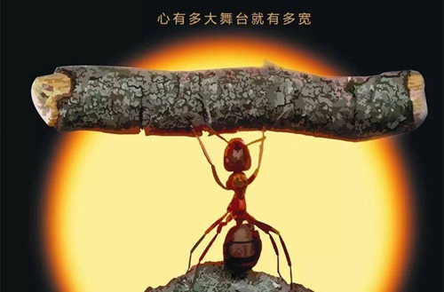 石家庄太行科技中专学校幼儿保育专业实操室介绍