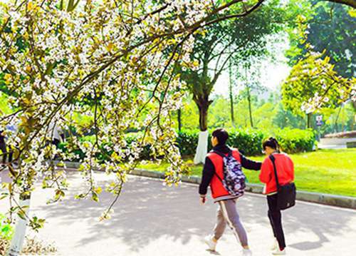 石家庄法商中等专业学校2023届学子的迷彩回忆
