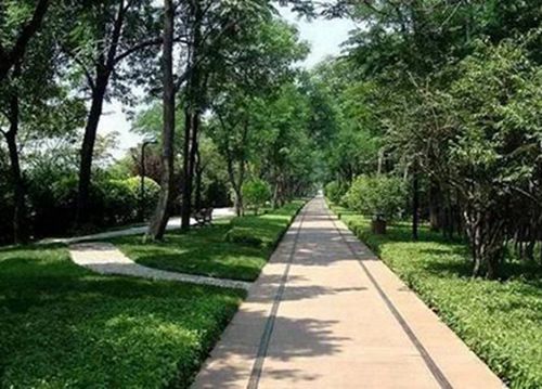 石家庄市艺术学校地址在哪？