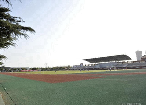 石家庄市艺术学校地址在哪？