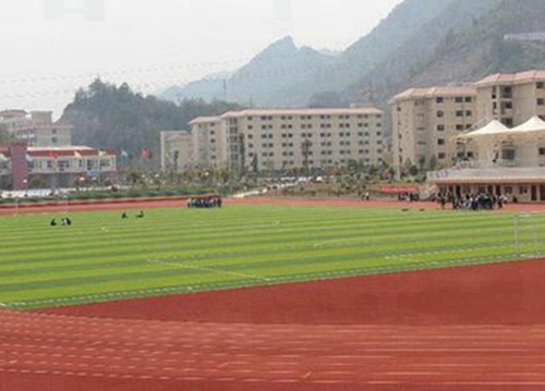 石家庄市艺术学校地址在哪？