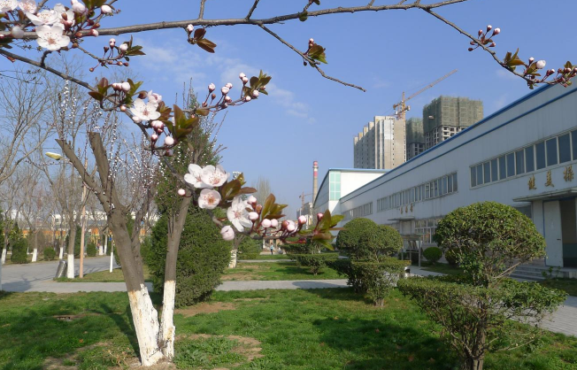 天水师范学院
