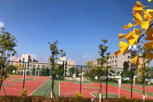湖南外贸航空职业学院有高铁乘务专业吗