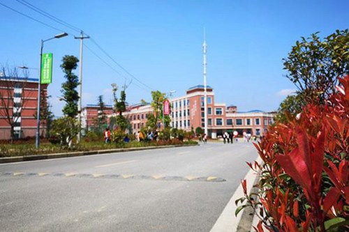石家庄艺术职业学校航空空乘有航空航空维修专业吗