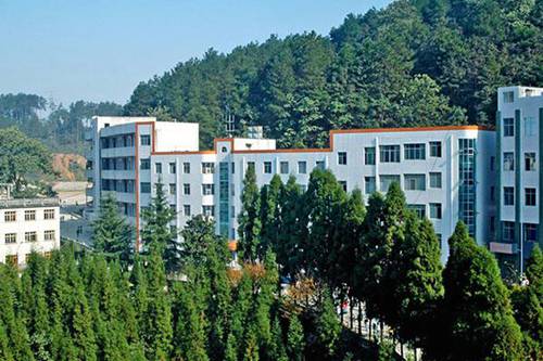 湖南民族职业学院学前教育学院有药剂专业吗