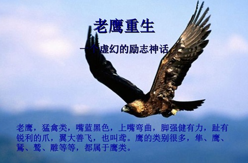 石家庄柯棣华医学院的口腔修复专业能考医师证吗？