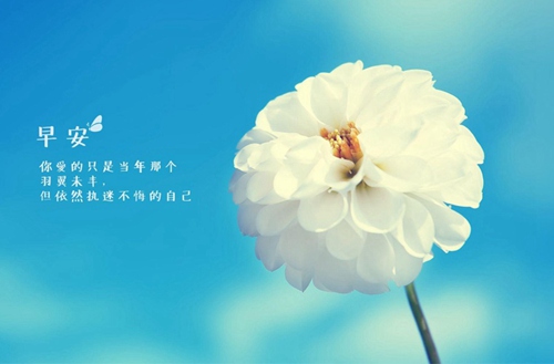 河北城乡建设学校怎么样？