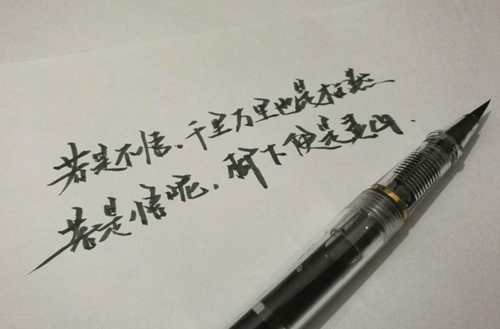 石家庄法商学校2023年春季招生吗？
