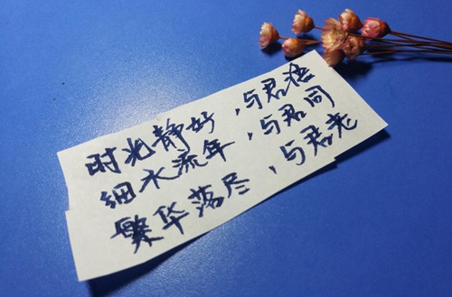 石家庄农业学校位置在哪？