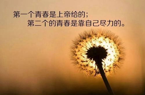 石家庄旅游学校特色专业之铁道运输管理专业