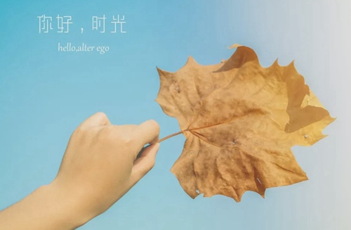 石家庄法商中等专业学校代码