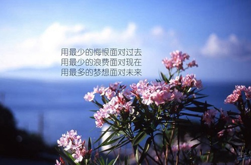 石家庄太行科技中专学校环境怎么样？
