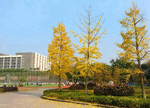 娄底湘中领航铁路卫生职业学校2024年招生简章
