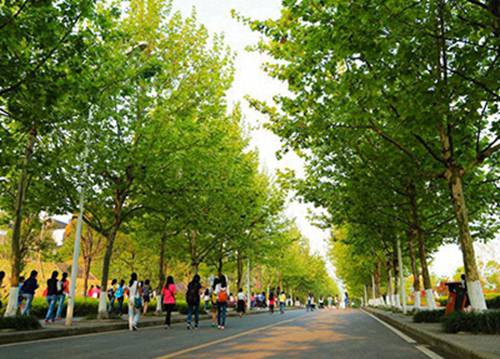 石家庄东华铁路学校2023年学费多少？