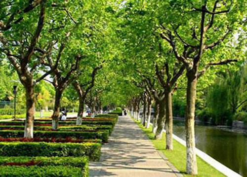 初中毕业想学建筑专业哪个学校好？