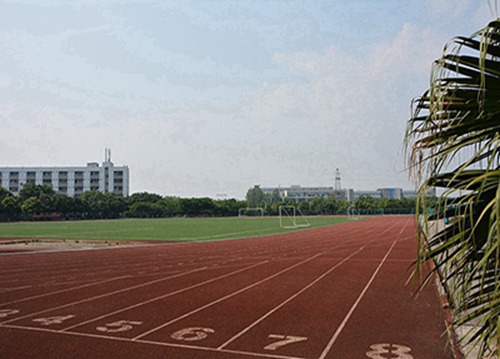 石家庄同济医学院位置在哪？