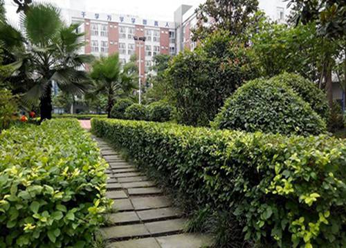 石家庄燕山理工中等专业学校有哪些专业？
